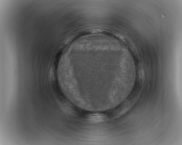 X0000111850316200908131444