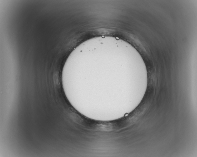 X0000111850317200908131444