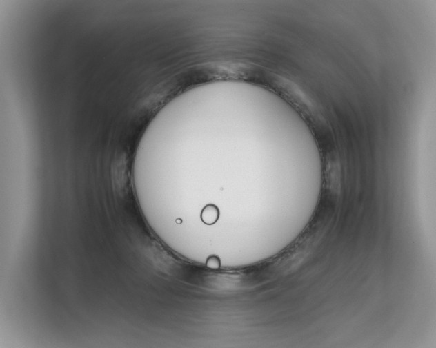 X0000111850318200908131444