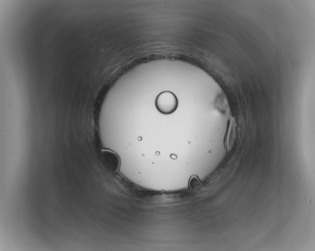 X0000111850320200908131444