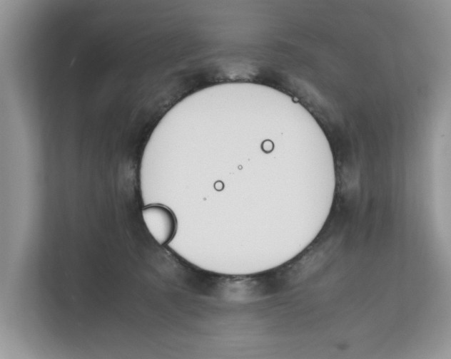 X0000111850321200908131444