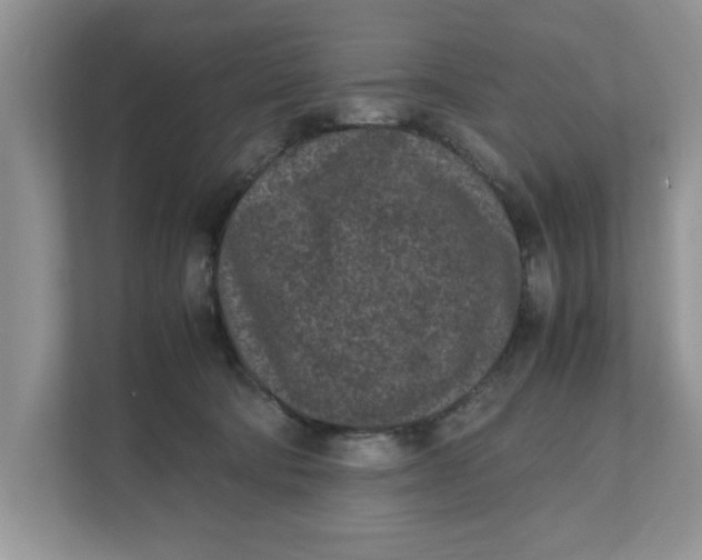 X0000111850322200908131444