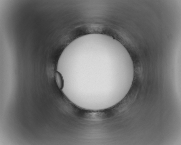 X0000111850323200908131444