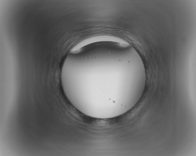 X0000111850325200908131444