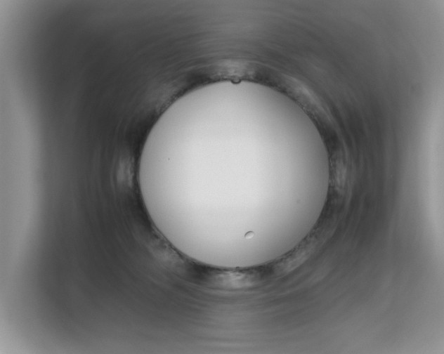 X0000111850326200908131444