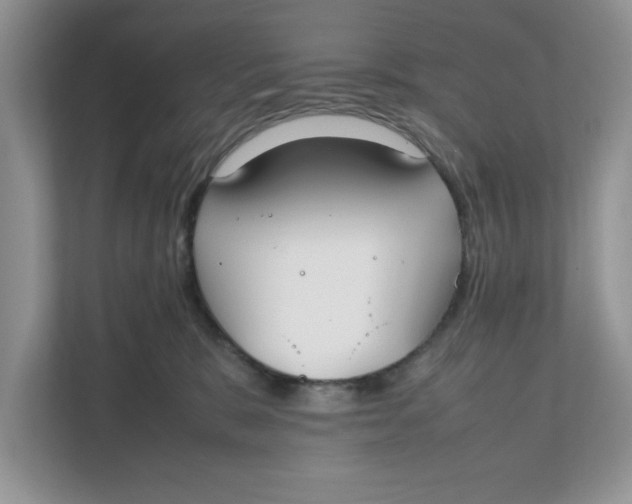 X0000111850327200908131444