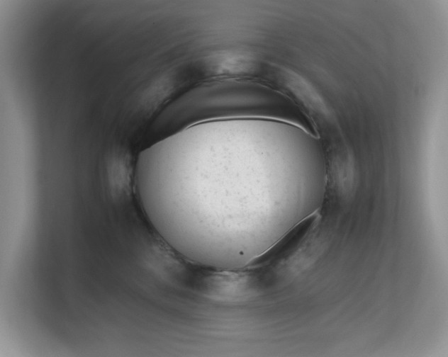 X0000111850328200908131444