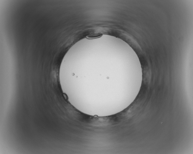 X0000111850329200908131444