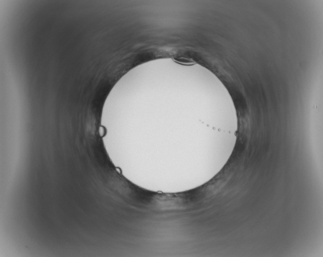 X0000111850331200908131444