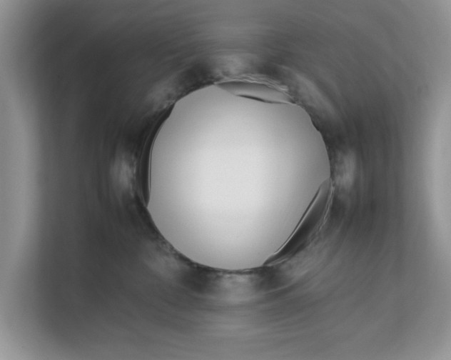 X0000111850332200908131444