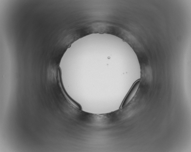 X0000111850333200908131444