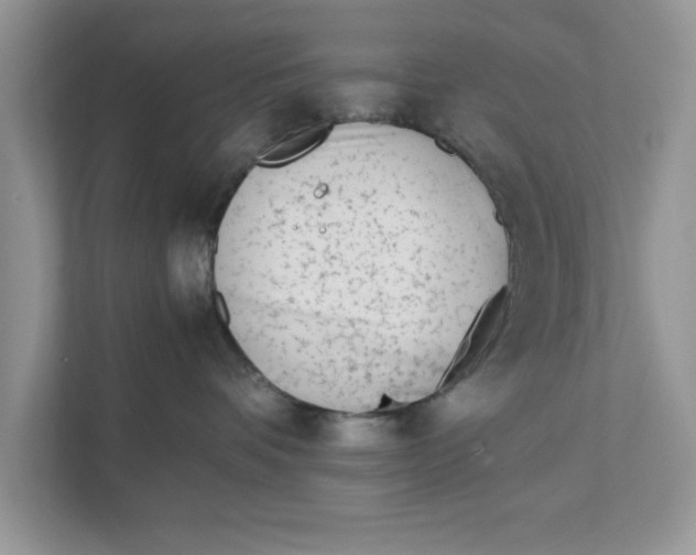 X0000111850336200908131444