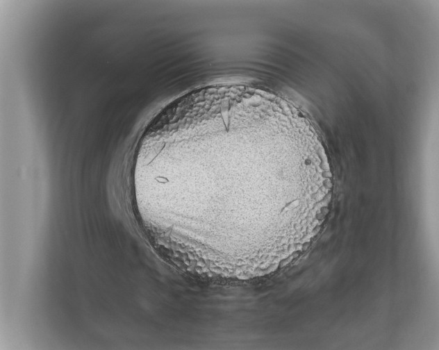 X0000111850337200908131443