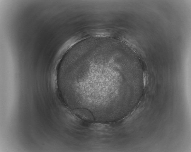 X0000111850339200908131443