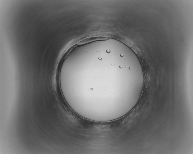 X0000111850340200908131443