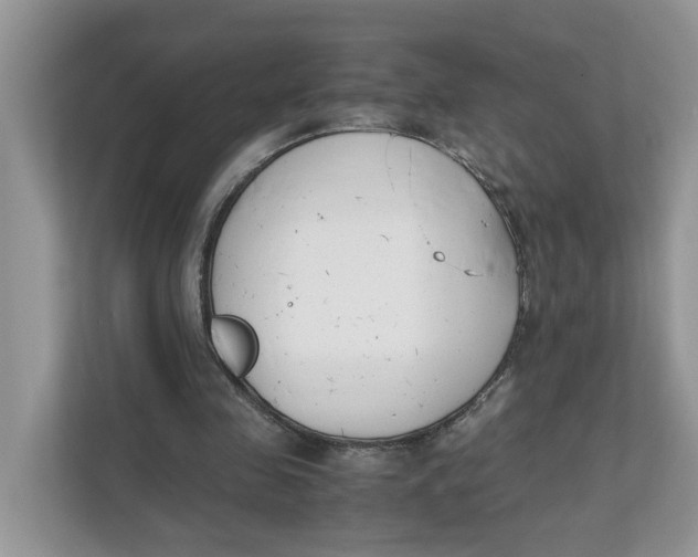 X0000111850341200908131443