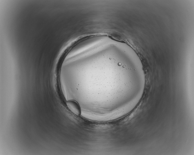 X0000111850342200908131443