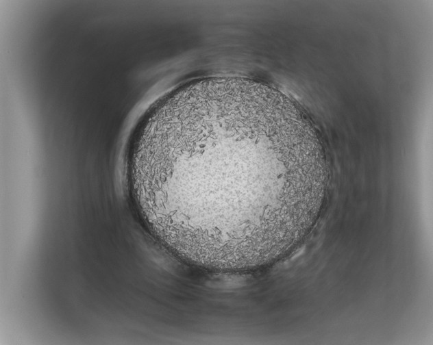 X0000111850343200908131443