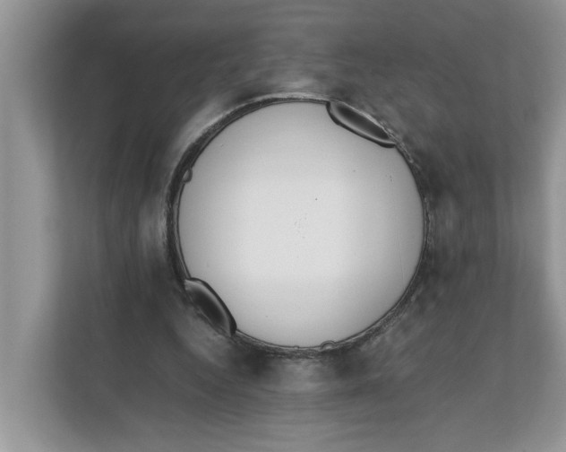 X0000111850344200908131443