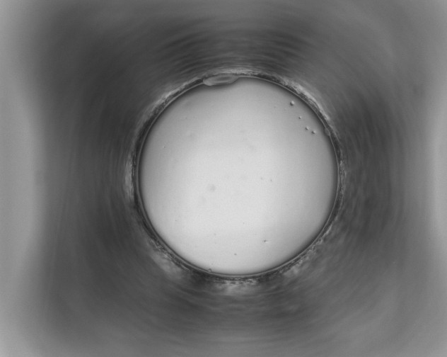 X0000111850345200908131443