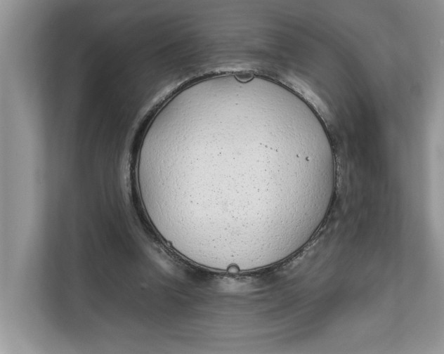 X0000111850346200908131443