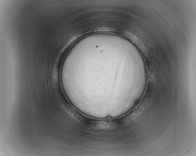 X0000111850347200908131443