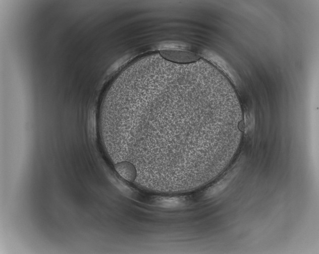 X0000111850349200908131443