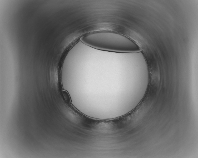 X0000111850350200908131443