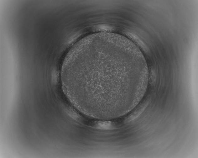 X0000111850355200908131443