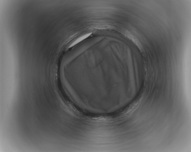 X0000111850356200908131443