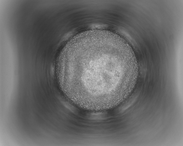 X0000111850357200908131443