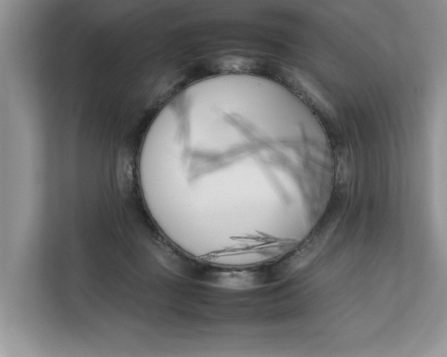 X0000111850363200908131443