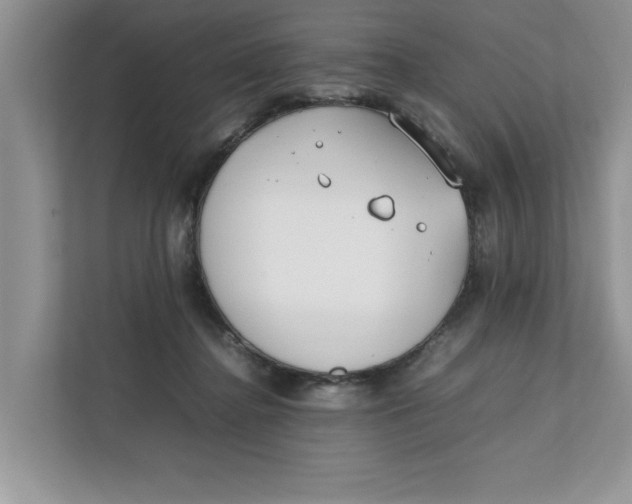 X0000111850364200908131443