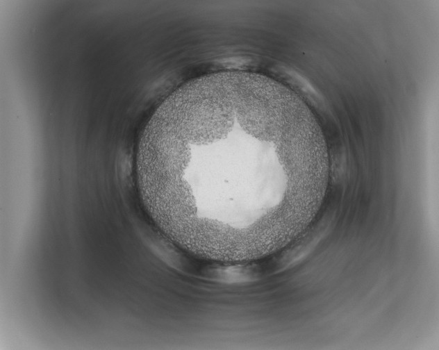 X0000111850365200908131443