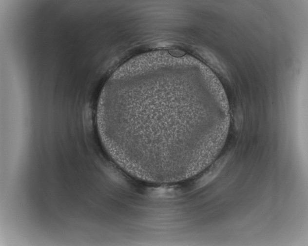 X0000111850366200908131443