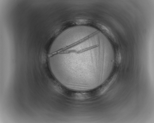 X0000111850367200908131444