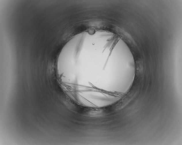 X0000111850369200908131444