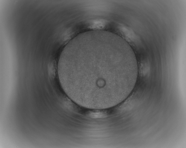 X0000111850370200908131444