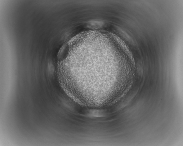 X0000111850371200908131444