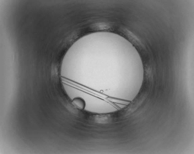 X0000111850373200908131444