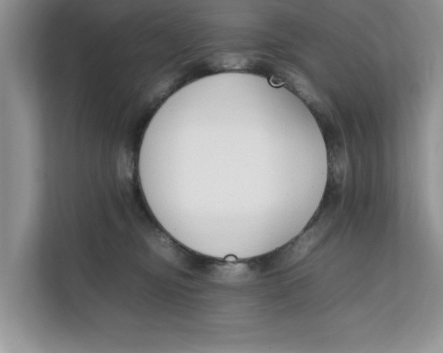 X0000111850374200908131444