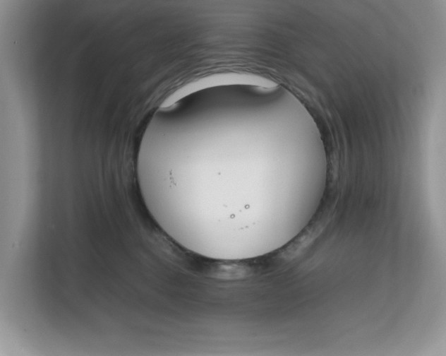 X0000111850376200908131444