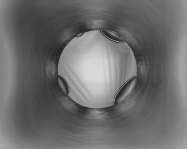 X0000111850380200908131444