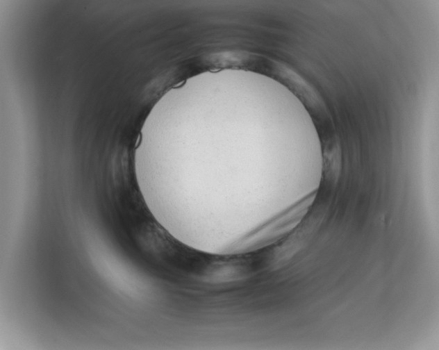 X0000111850381200908131444