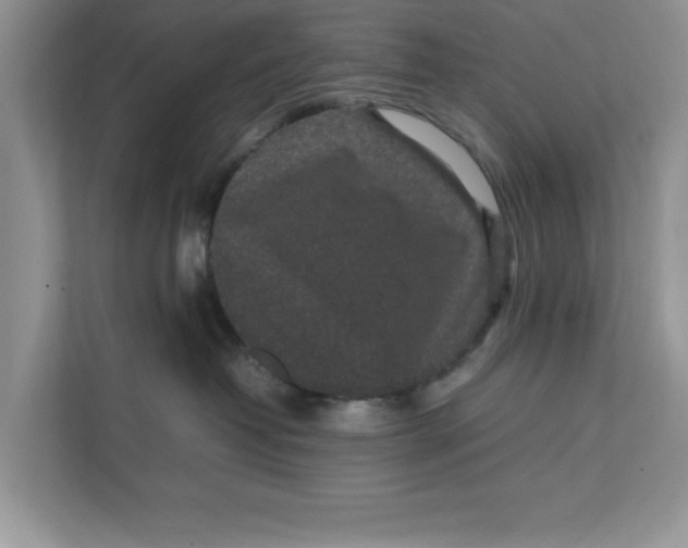 X0000111850382200908131444