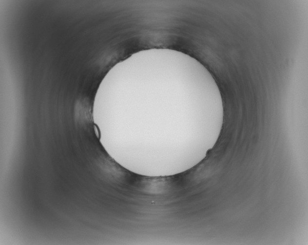 X0000111850384200908131444