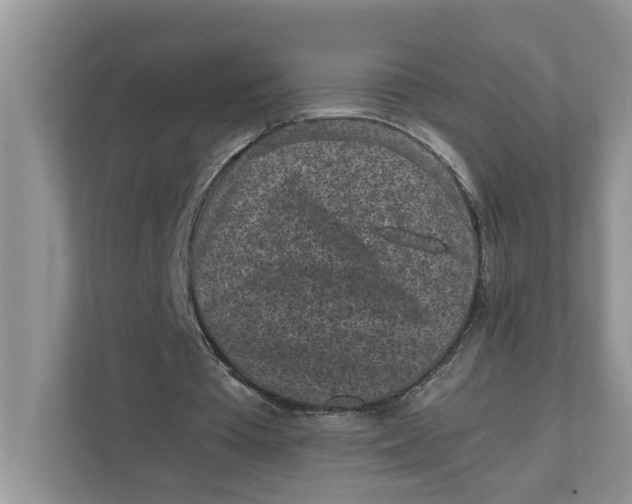 X0000111850385200908131443