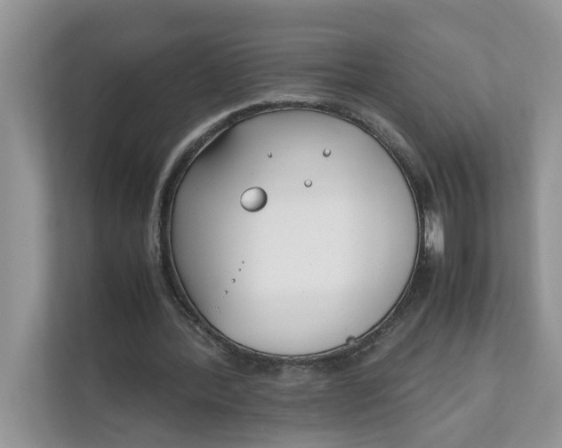 X0000111850388200908131443