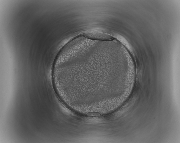 X0000111850389200908131443