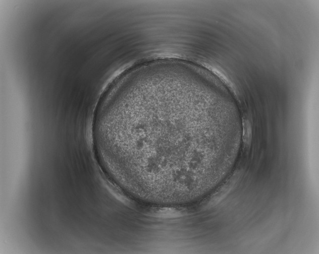 X0000111850390200908131443